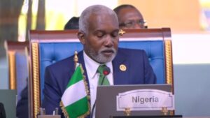 647177919225920241219010435435