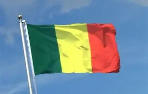 مقتل وزير الدفاع متأثراً بإصاباته بعد هجوم إرهابي في باماكو