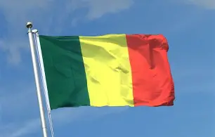 مقتل وزير الدفاع متأثراً بإصاباته بعد هجوم إرهابي في باماكو