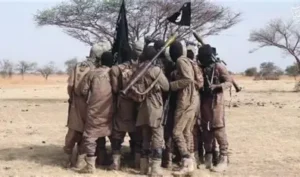 بوكو حرام تضرب من جديد في تشاد: اختطاف، إعدام، وفدية باهظة تثير القلق