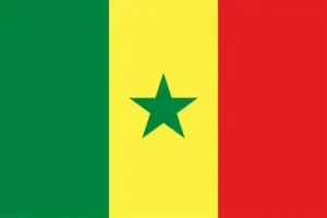 السنغال بين ثنائية الشرعية وصراع السلطة: هل انتهى تحالف ديوماي فاي وعثمان سونكو أم أُعيد تشكيله؟