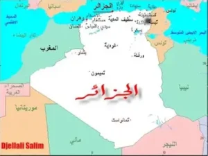 الجزائر تعود إلى ملف مالي من بوابة السلام… والنيجر تتحول إلى ورقة نفوذ إقليمي