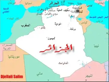 الجزائر تعود إلى ملف مالي من بوابة السلام… والنيجر تتحول إلى ورقة نفوذ إقليمي