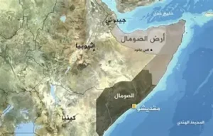 القرن الإفريقي: تحالفات دولية جديدة