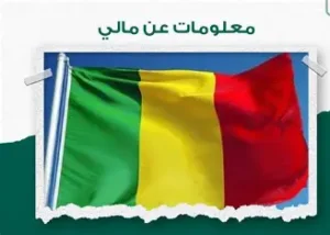 مالي | الجيش يعلن تحييد آلاف المقاتلين وتعزيز السيطرة على كيدال وتأمين طرق الوقود